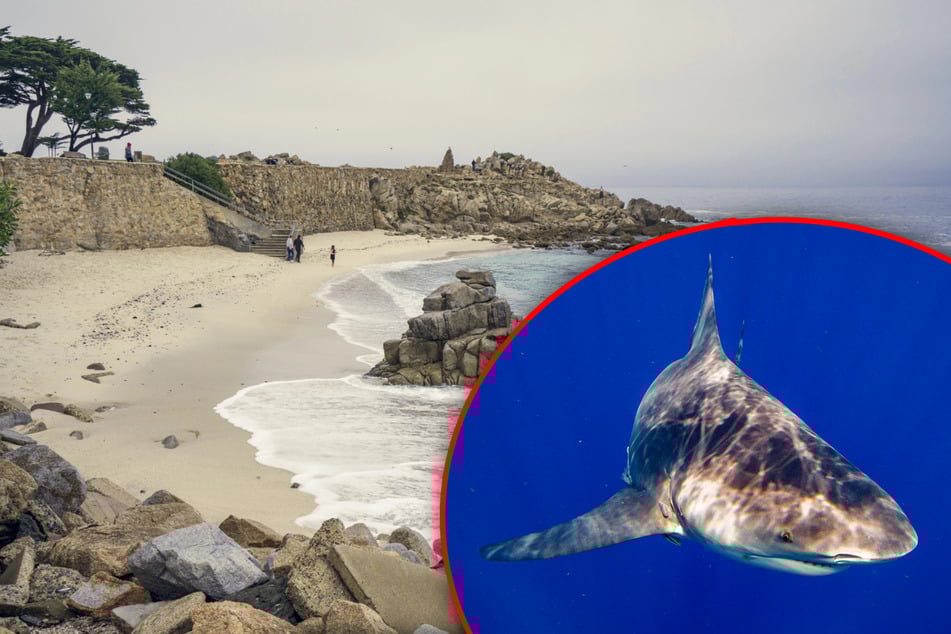 Triathletin verschwindet spurlos im Meer: Wurde sie Opfer eines Hai-Angriffs?