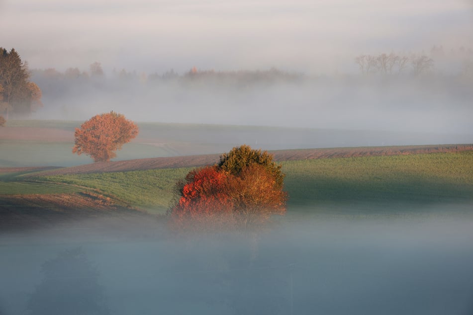 In großen Teilen Baden-Württembergs ist am Donnerstag mit Nebel zu rechnen.