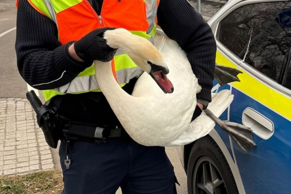 Die Polizei nahm den Vorfall mit Humor.