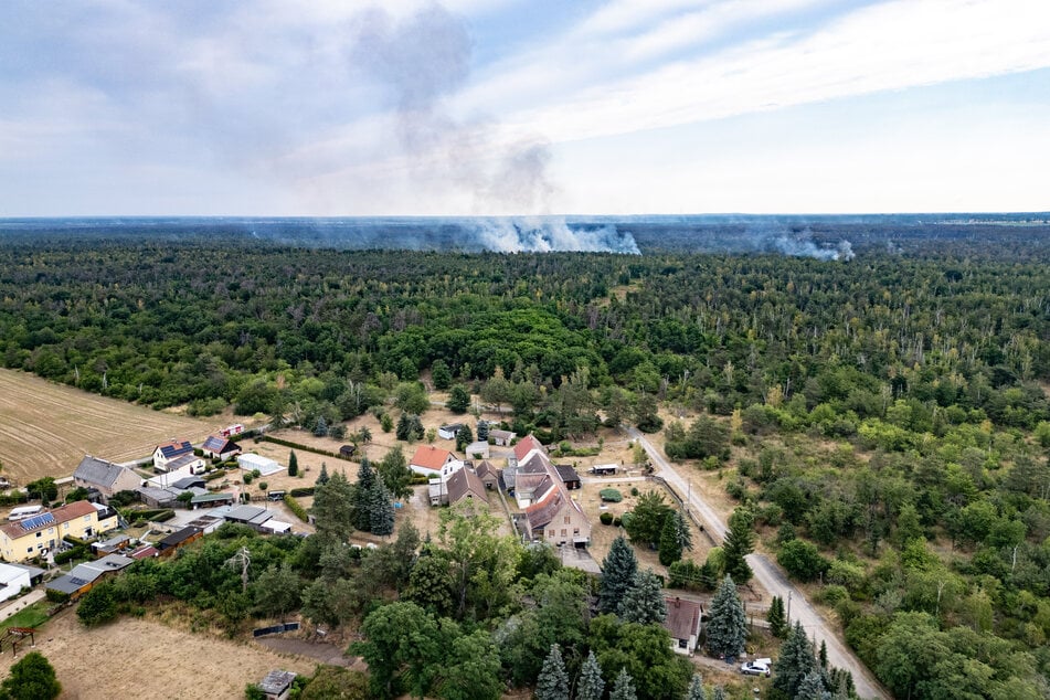 Rauch steigt über einem Waldstück bei Jacobsthal (Landkreis Meißen) auf.
