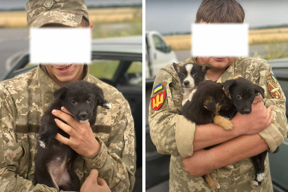 The soldiers were shown with their faces blurred to protect their identity, but they gave lots of love to one group of puppies.
