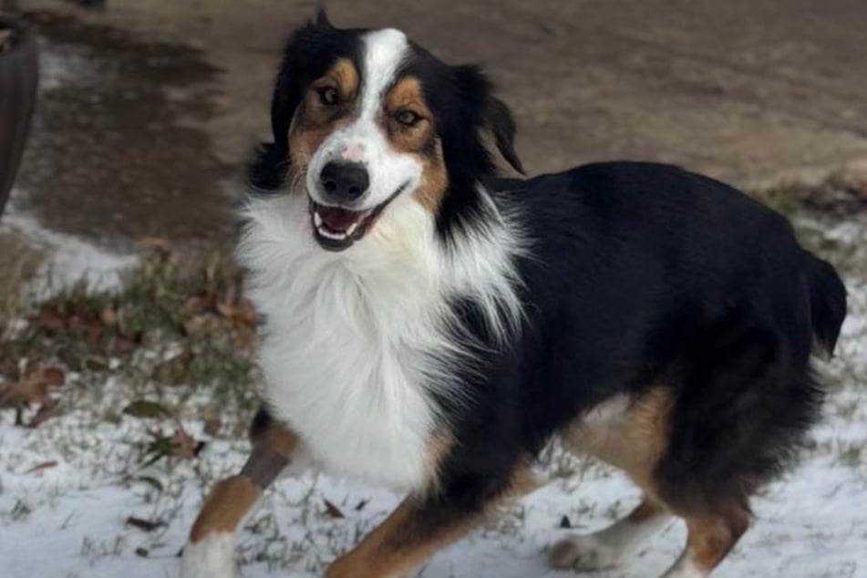 Tobias geht es jetzt besser. Doch ein festes Zuhause fehlt ihm noch immer.