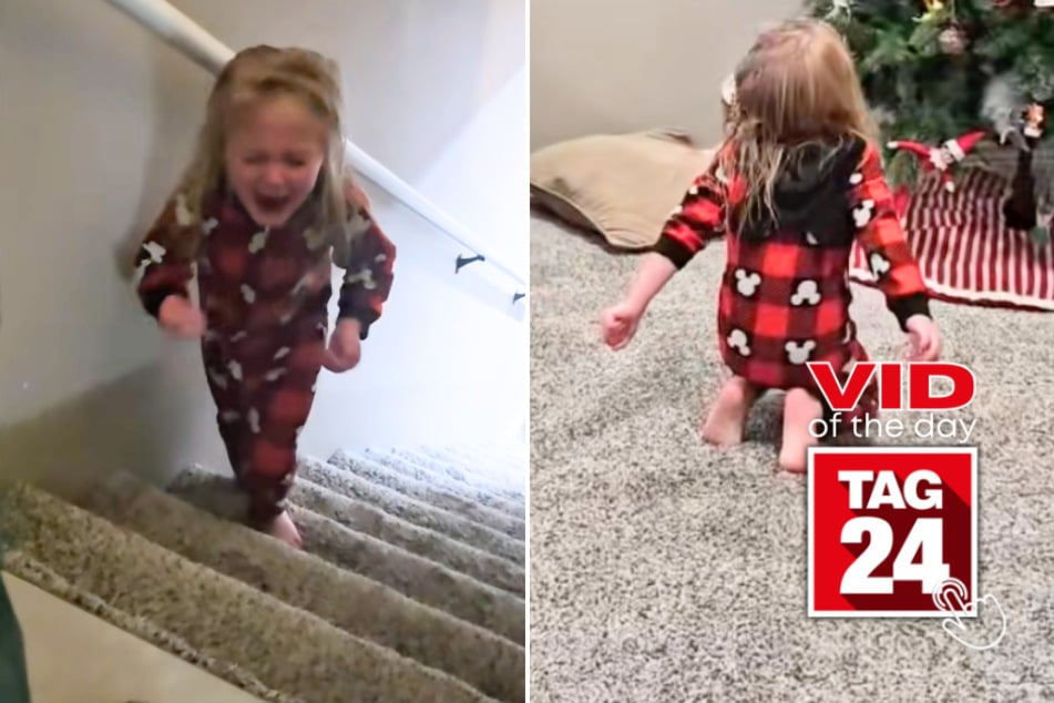 viral videos: Viral Video of the Day for December 4, 2025: Little girl has epic meltdown over Elf on the Shelf