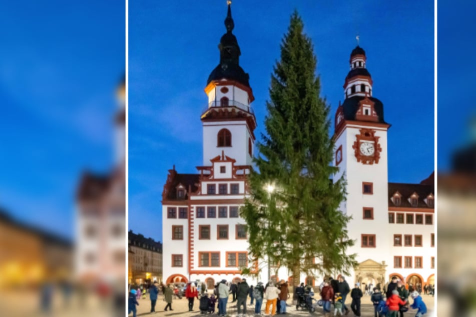 Chemnitz: Wann kommt der Chemnitzer Weihnachtsbaum?