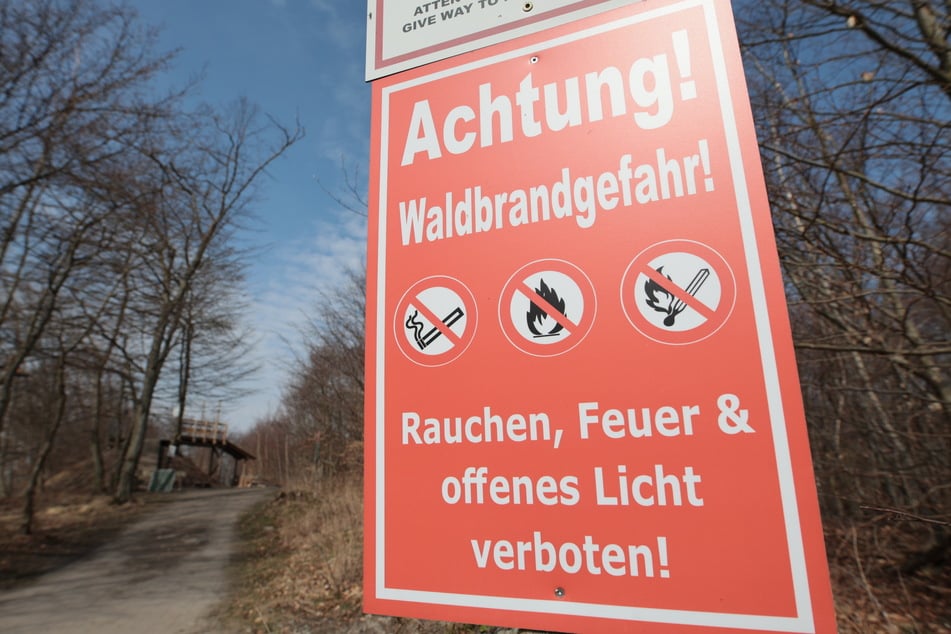 Trockenheit erhöht Waldbrandgefahr: Stufe 5 in Teilen Sachsens erwartet