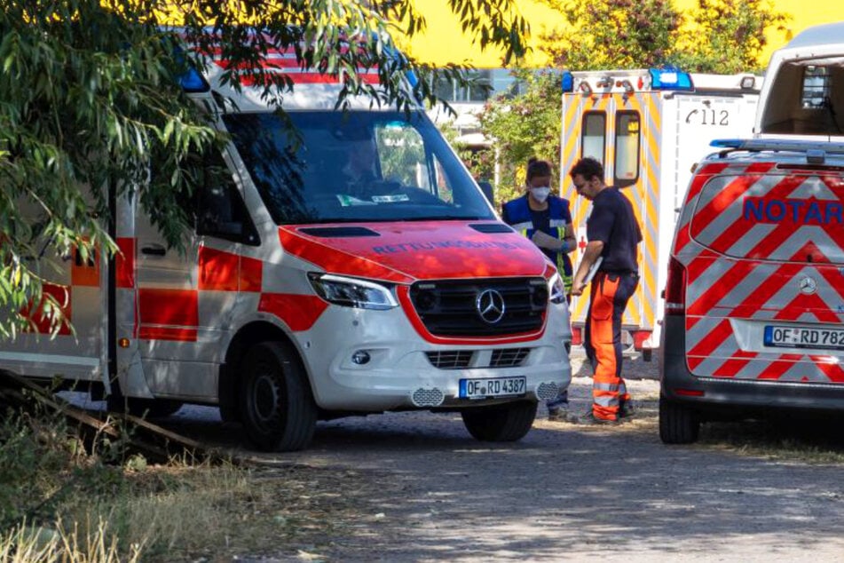 Reiterhof-Unfall: Mehrere Kinder zum Teil schwer verletzt