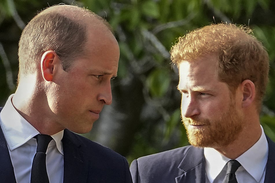 Después del reencuentro de Harry y Charles: William debería haber estado en contra de la reunión.