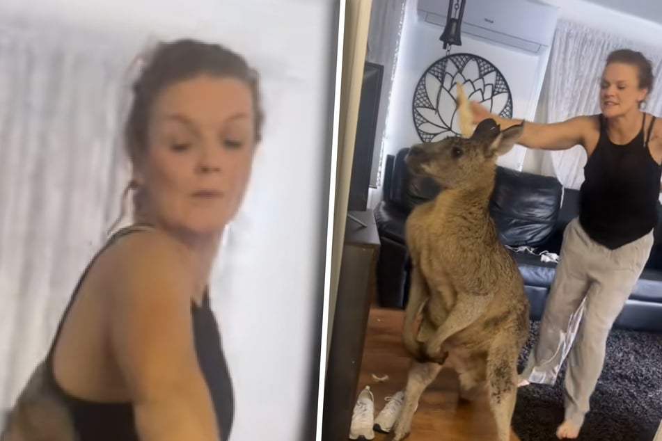 Billy macht es der Bewohnerin nicht leicht. Sie will das Känguru so schnell wie möglich wieder loswerden.
