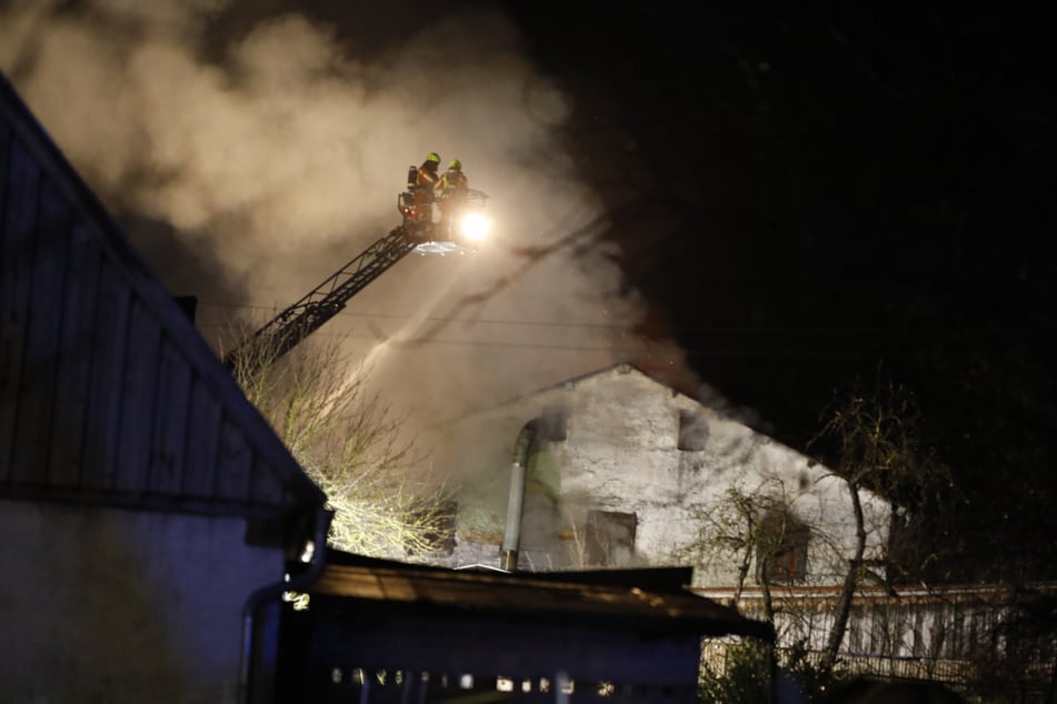 Kuhstall in Flammen: Rund 50 Rinder konnten rechtzeitig in Sicherheit gebracht werden.