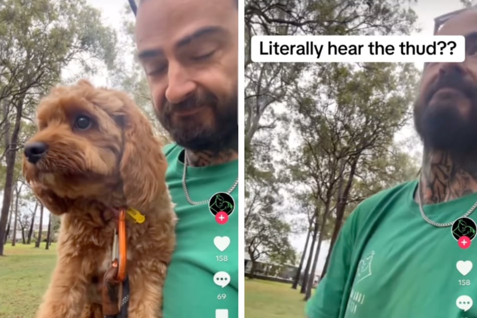 The Australian simply dropped the four-legged friend on the ground while filming a TikTok video.