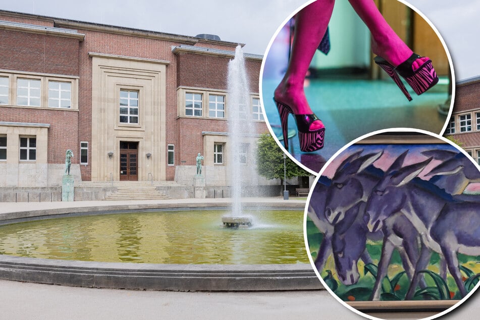 Bunte Tiere und Sexarbeit: Auf diese Ausstellungen dürfen sich Kunstfans in NRW 2026 freuen