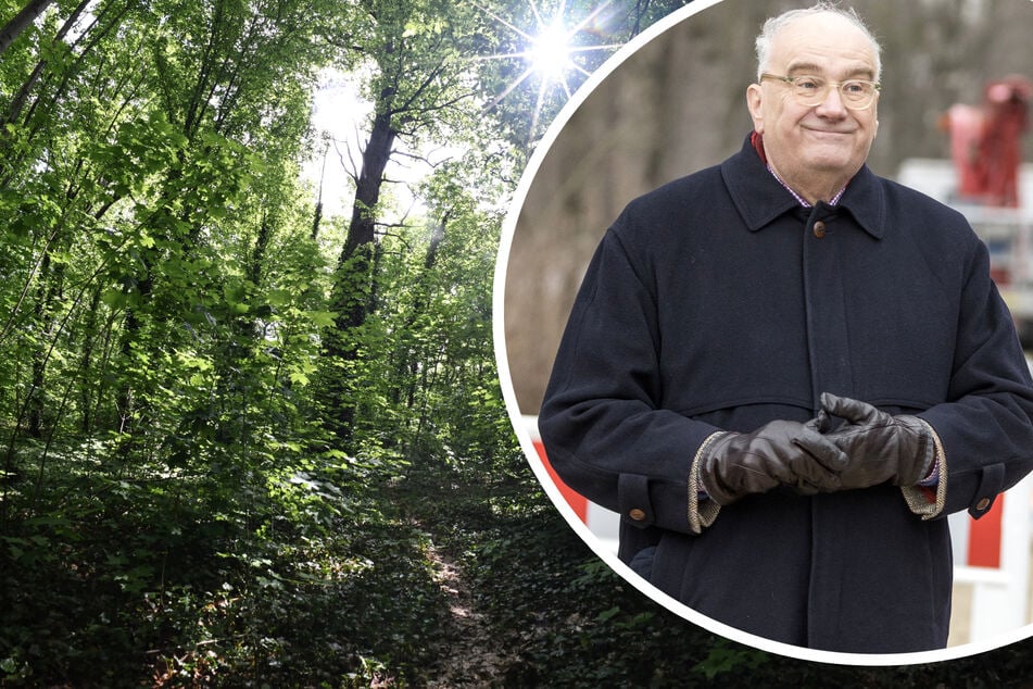 Dresden: Frau im Großen Garten erschlagen: Warum wurde der Todesfall verschwiegen?