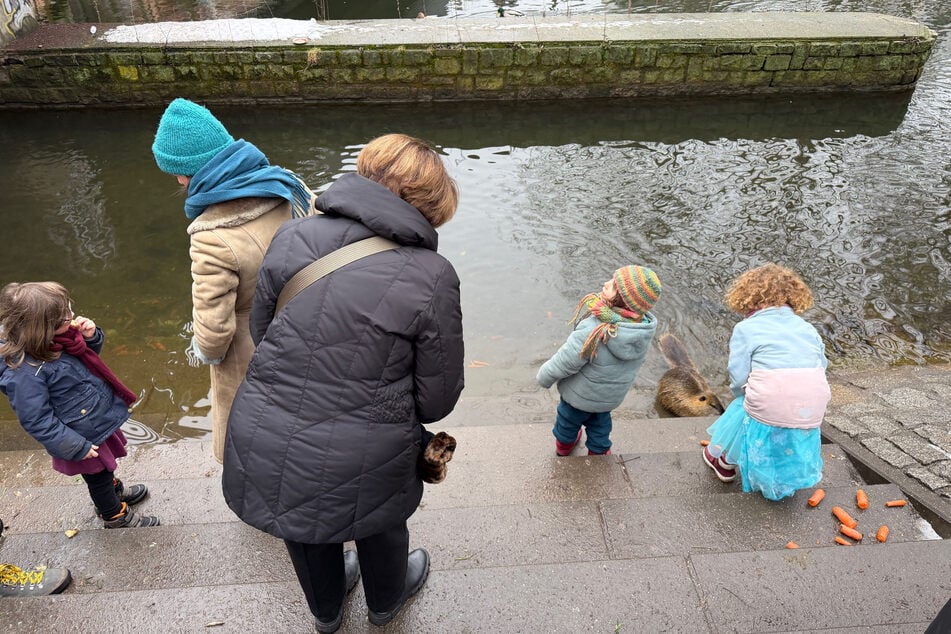 Bei den Leipzigern sind die süßen Nagetiere gern gesehen. Leider führt das häufig dazu, dass sie auch gefüttert werden.