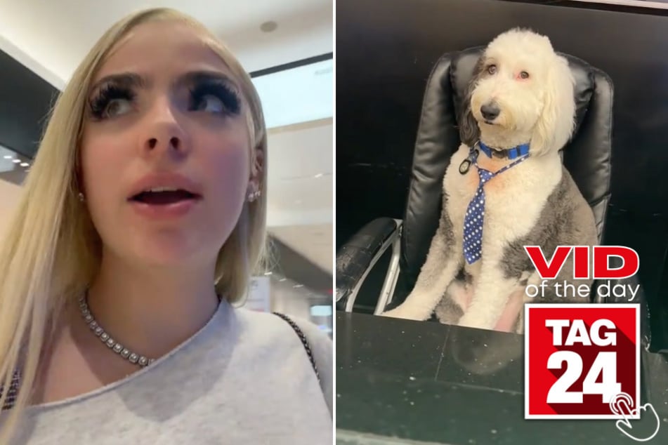 Today's Viral Video of the Day showcases a woman who was met by an unusual (and furry) employee when asking for help at the local mall.