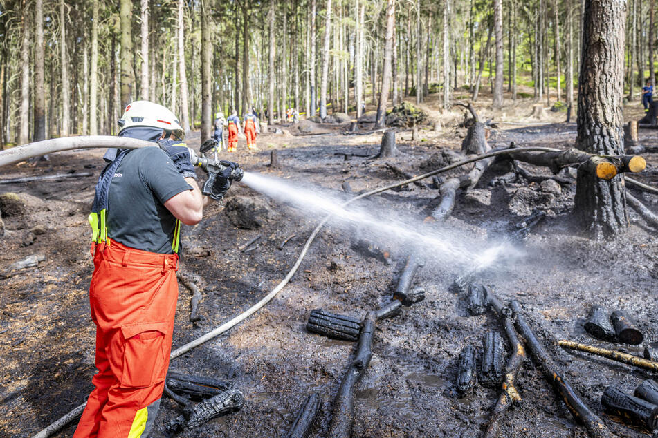 In schwer zugänglichem Gebiet mussten die Kameraden der Feuerwehr einen Waldbrand bei Pirna-Krietzschwitz löschen.