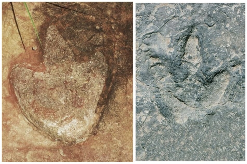 Forscher haben identische Dino-Fußspuren auf unterschiedlichen Kontinenten gefunden.