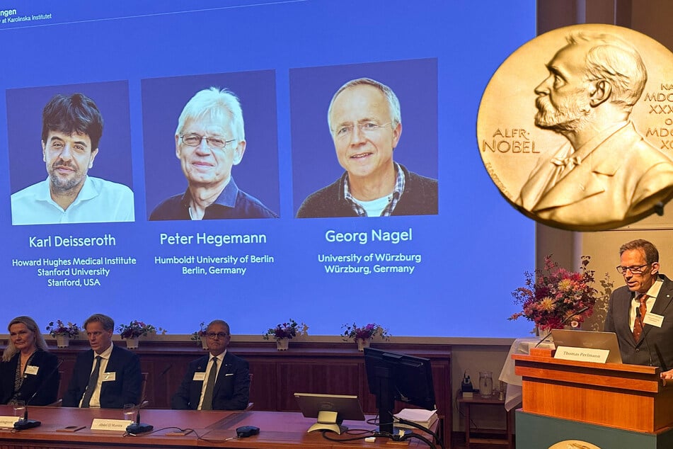Dotiert mit rund einer Million Euro: Deutsche räumen Medizin-Nobelpreis ab