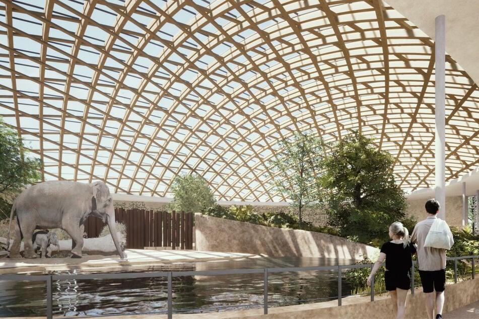 Mehr als 68 Millionen Euro: Zoo in Stuttgart setzt Spatenstich für "Elefantenwelt"