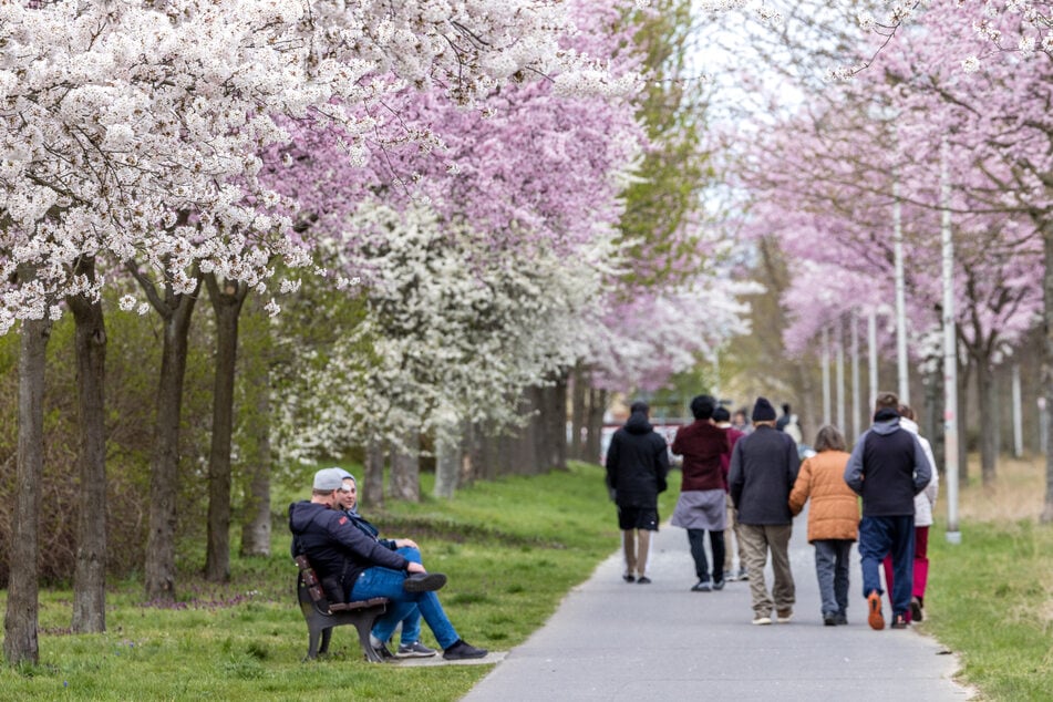Durchwachsenes Osterwochenende: Wann es trocken und sonnig wird