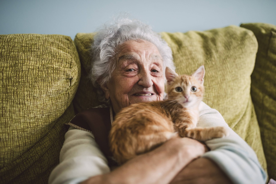 Die meisten Senioren in Deutschland leben noch Zuhause teilweise auch bei der Familie und/oder mit Haustieren. (Symbolfoto)
