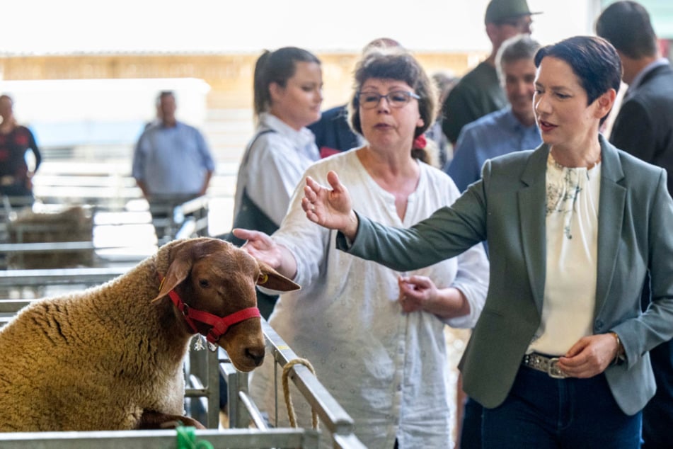 Agrarministerin schlägt Alarm: Gorißen fordert Nacharbeit bei Tierwohl-Kennzeichnungen
