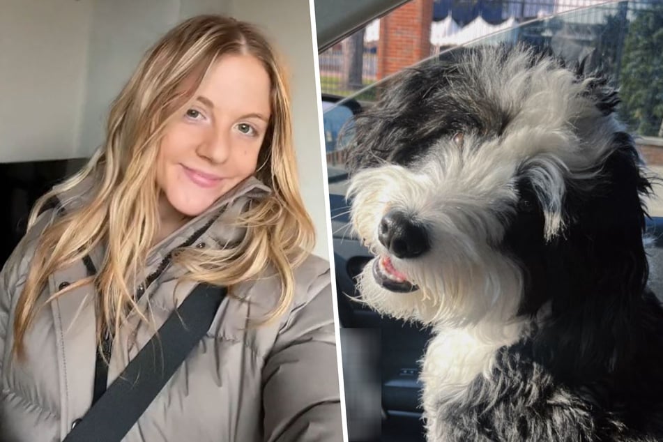 Dog owner Nikki Syorka didn't want to leave her furry friend Maisy home alone, so she hoped leaving the pup at a doggy daycare might be the answer.