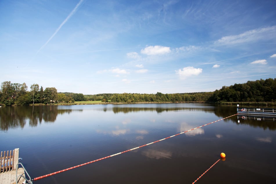 Für viele Besucher ist das Naturbad Buschmühle das perfekte Freibad.