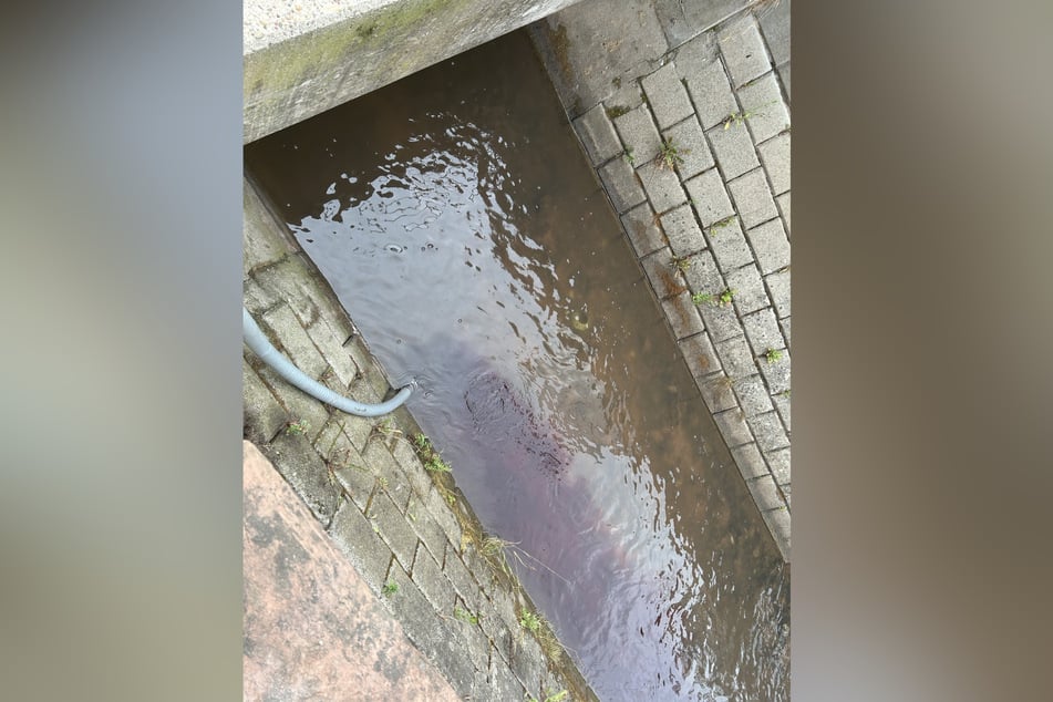 Der Modenbach fließt quer durch das Bundesland Rheinland-Pfalz. In Ort Edesheim wurde das Wasser verschmutzt.