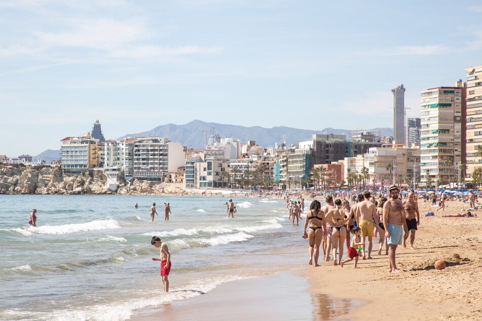 Die Strände von Alicante sind ein großer Touristenmagnet - ob sich die Ratten-Plage auch finanziell bemerkbar macht?