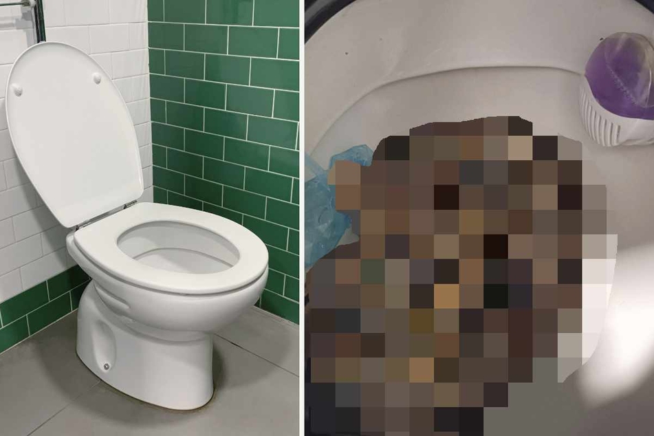 Überraschung auf der Toilette! Frau macht ungewöhnlichen Fund im Klo