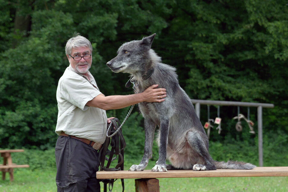 Kurt Kotrschal ist Verhaltensforscher an der Universität Wien und erklärt in der Doku die Geschichte der Beziehung zwischen Wolf und Mensch.