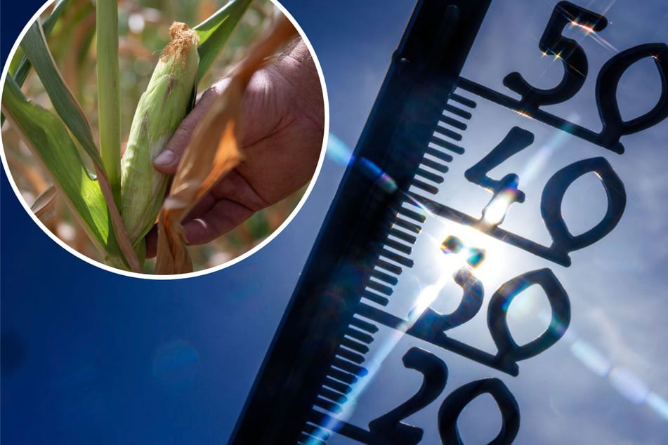 Heißester Sommer seit Messbeginn: DWD zieht extreme Wetterbilanz für den Südwesten