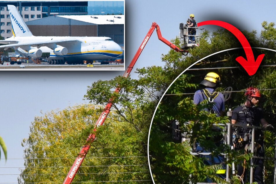 Leipzig: Antennensuche in Baumwipfeln: Sprengstoff-Drohne soll aus Sachsen-Anhalt gekommen sein