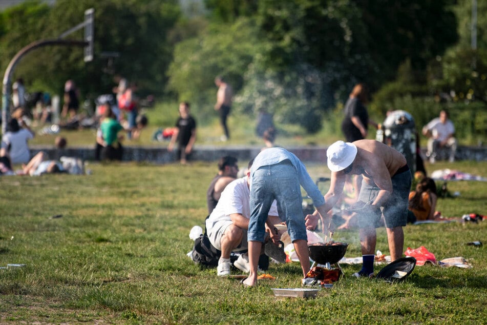 Aufgrund von Raupen-Befall muss die Grillwiese im Görlitzer Park bis auf Weiteres gesperrt werden. (Archivfoto)