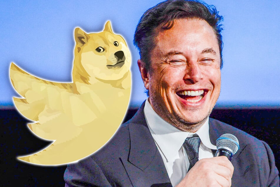 Elon Musk: Elon Musk ändert Twitter-Symbol in Shiba-Inu-Meme "Doge"