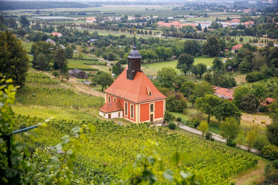 Der Pillnitzer Weinbergkirche ist das diesjährige Elbhangfest gewidmet.