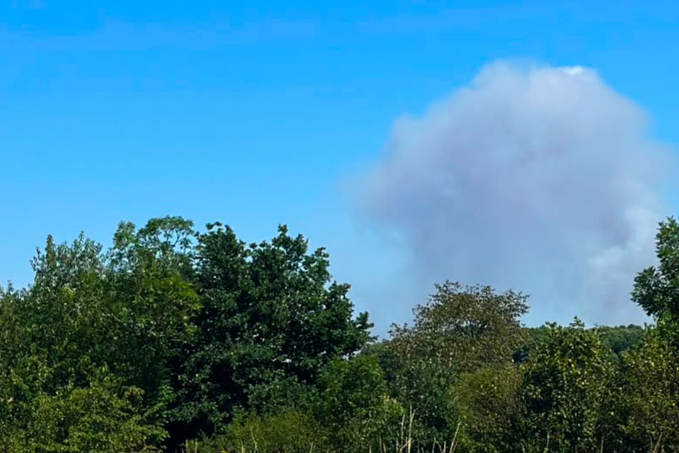 Rauchwolke bis Leipzig zu sehen! Hier hat's gebrannt