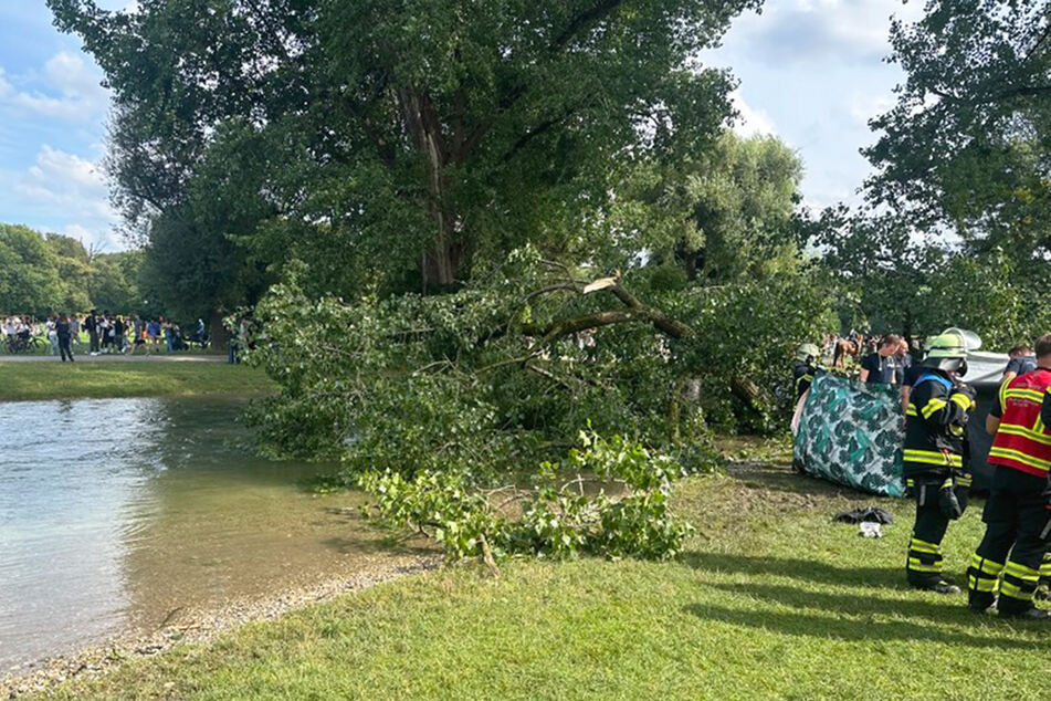 Am Sonntag brach ein 18 Meter langer Ast von einer Pappel im Englischen Garten und begrub eine Frau unter sich.