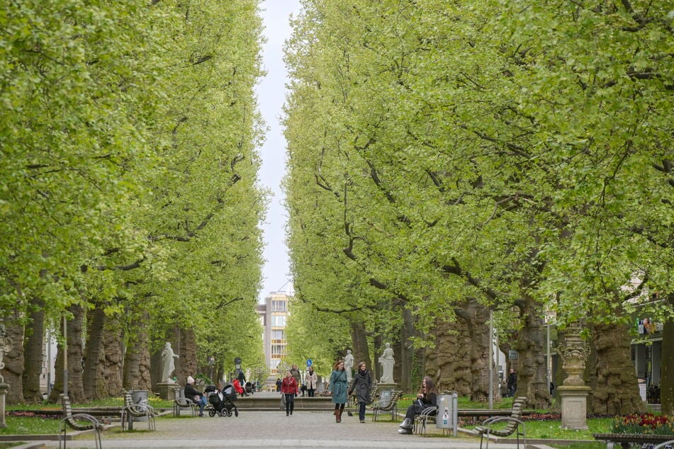 Die Hauptstraße ist Fußgängerzone.