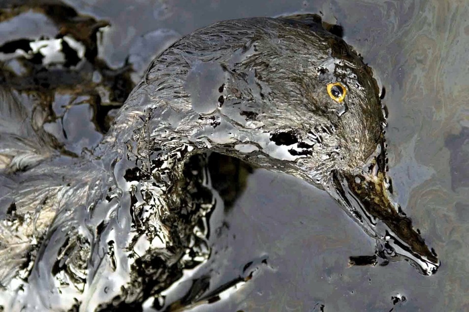 Absicht oder technischer Defekt? Tanker sorgt für massive Umweltverschmutzung