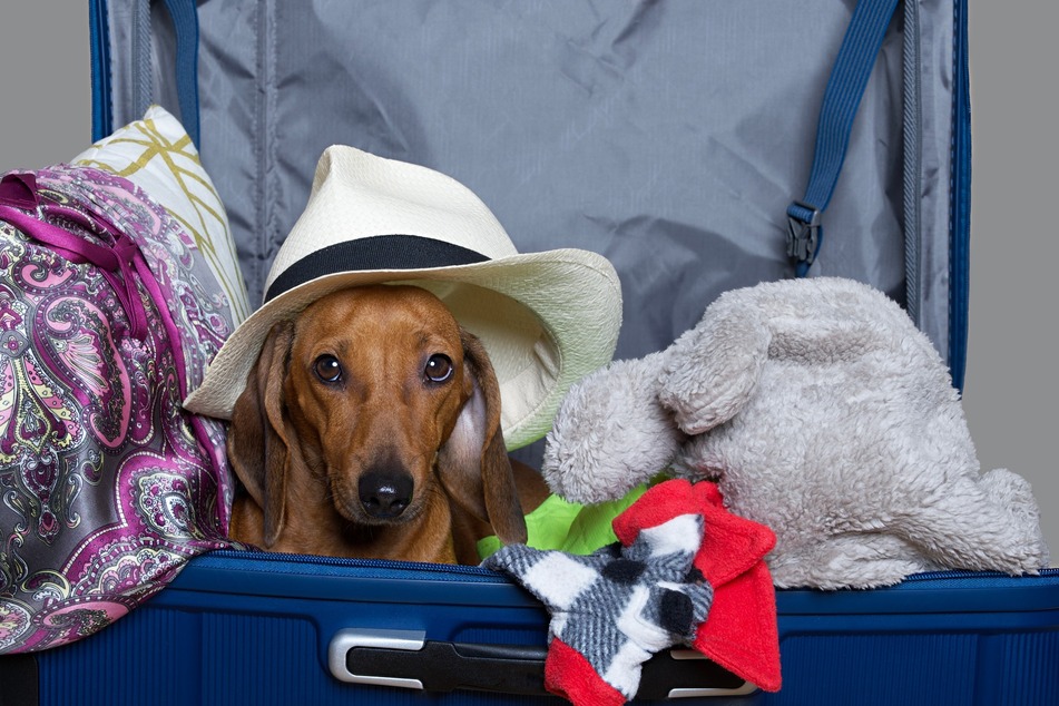 "Ich packe meinen Koffer" ist ein beliebtes Reisespiel.