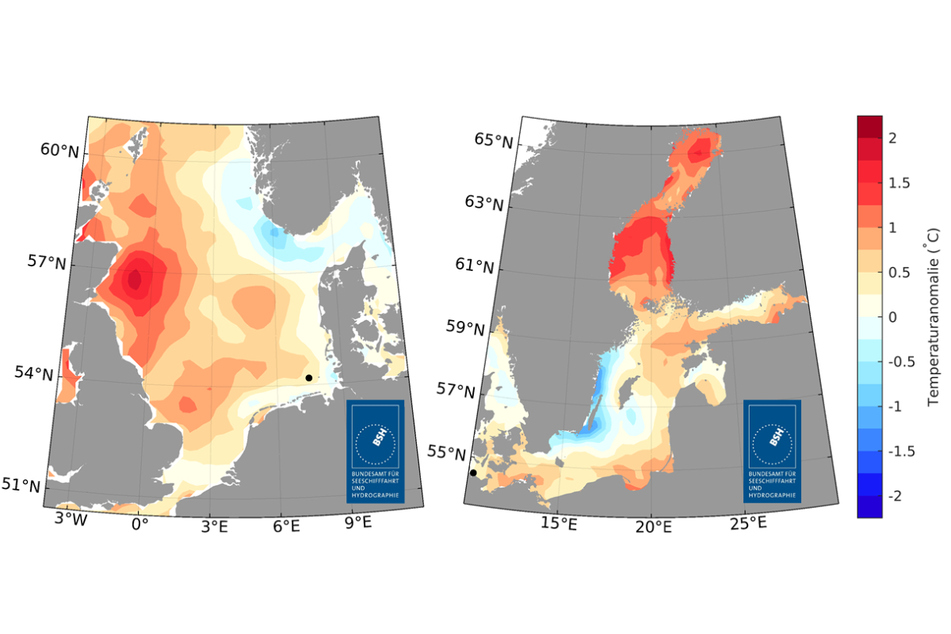 Die Karten zeigen die Temperaturabweichung in der Nordsee (links) und der Ostsee im Sommer 2023 vom langjährigen Mittel.