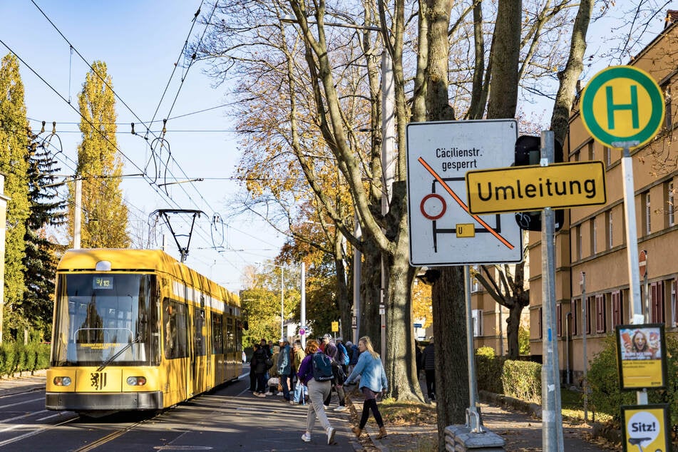 Ab Montag verkehrt an der Hugo-Bürkner-Straße Bus-Ersatzverkehr für die Bahnen.