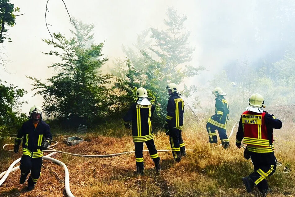 Unter anderem die Moritzburger Feuerwehr-Kameraden waren mit einem riesigen Waldbrand konfrontiert.
