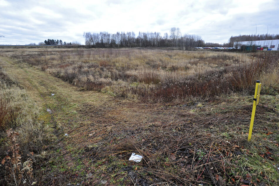 Hier soll bald ein Schornstein qualmen: Eins Energie möchte ein Holzheizkraftwerk in der Mauersbergerstraße bauen.