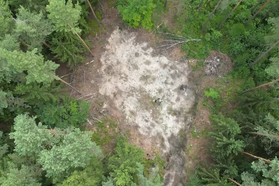 In einem Wald bei Eineborn und St. Gangloff in Ostthüringen sind Bäume gefällt. Dort soll eine Windkraftanlage entstehen.