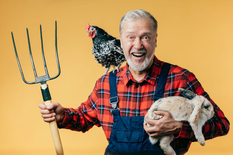 Der Kleintierzucht fehlt der Nachwuchs - was nun? (Symbolfoto)