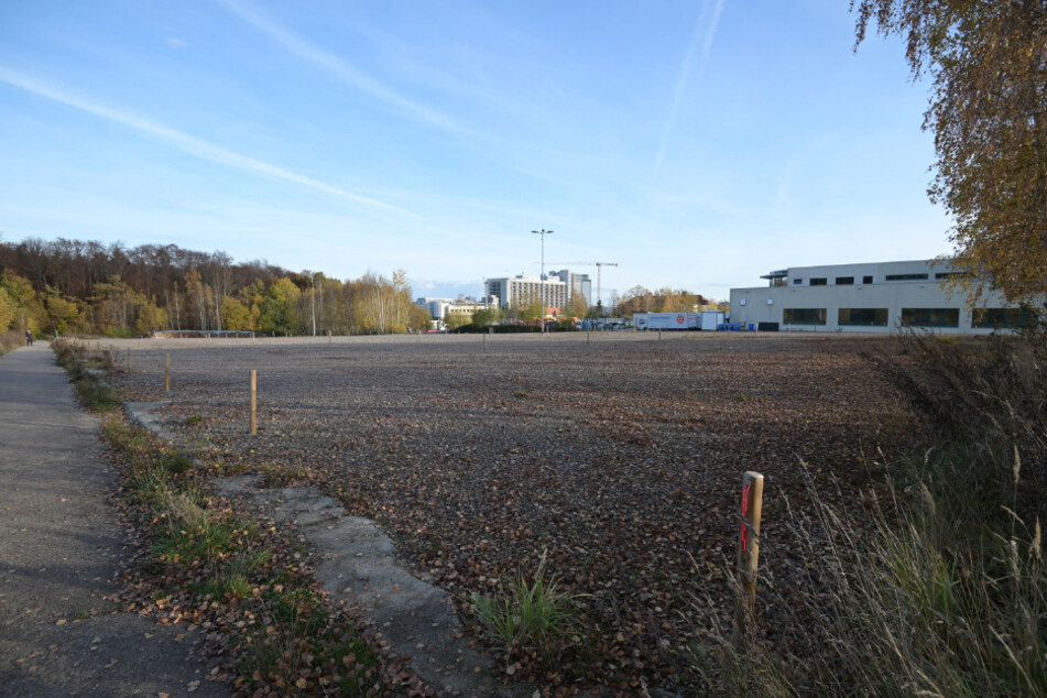 Auf 3,5 Hektar zwischen Flemmingstraße und Crimmitschauer Wald will das Klinikum Psychatrie und Campus-Klinik bauen.