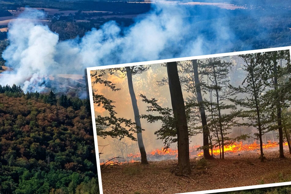20.000 Quadratmeter Wald im Taunus brennen: Löscharbeiten schwierig