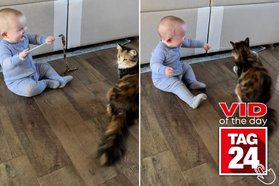 This baby couldn't stop laughing while playing with the family cat!